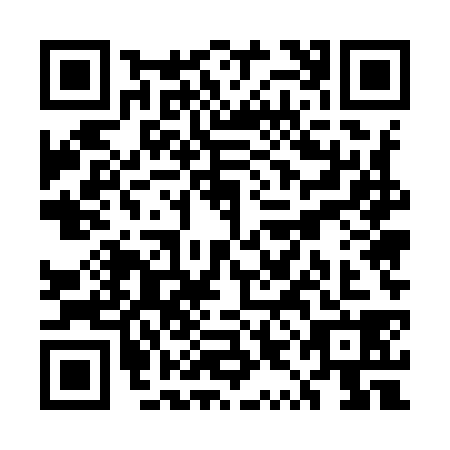 QR code for plate UYE-9384