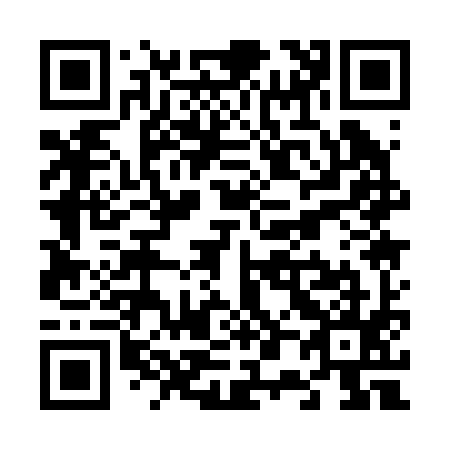 QR code for V01295