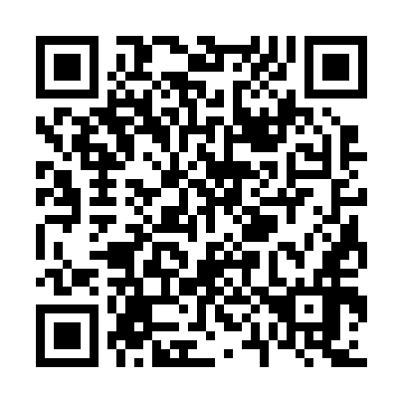 QR code for V03256