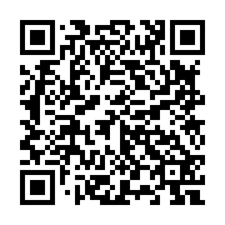 QR code for V03822