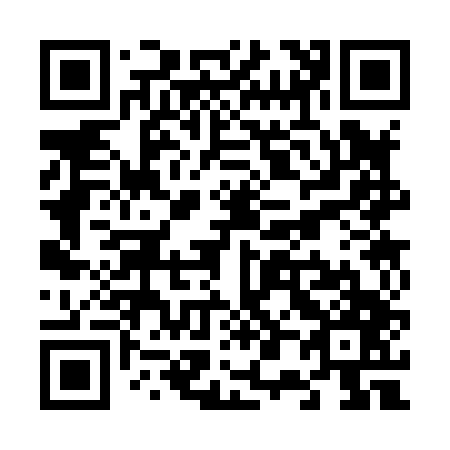 QR code for V03847