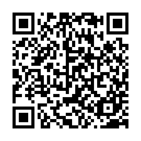 QR code for V05387