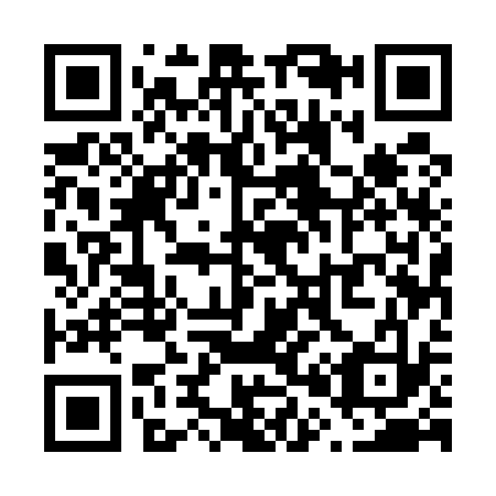 QR code for V05533