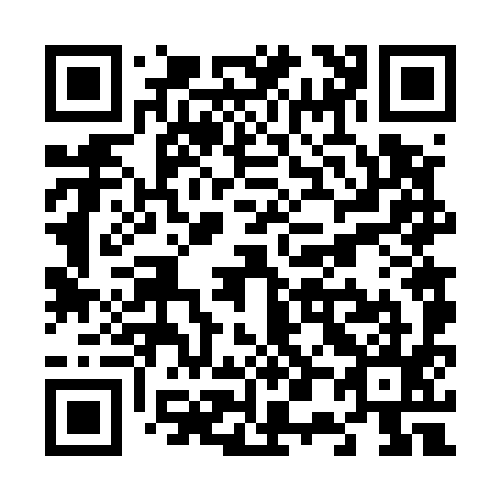 QR code for V06595