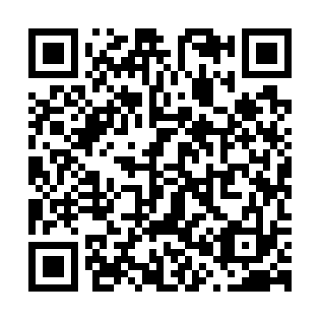 QR code for V09733