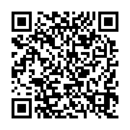 QR code for V10313