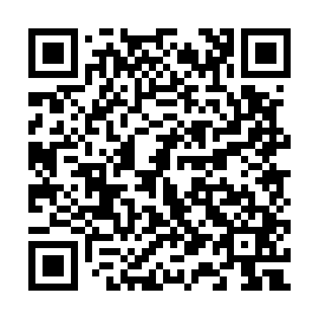 QR code for V10541