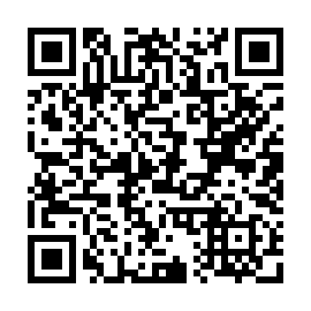 QR code for V11198