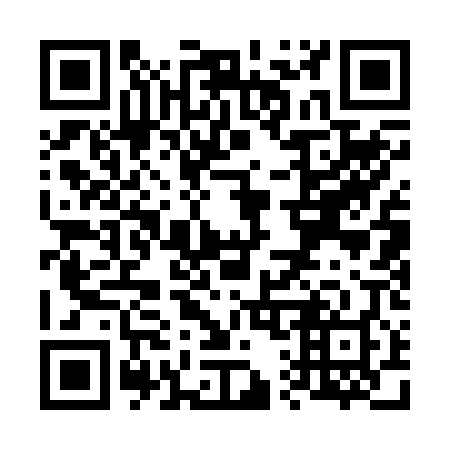 QR code for V11208