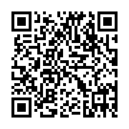 QR code for V11388
