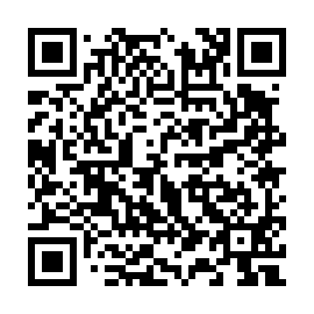 QR code for V11491
