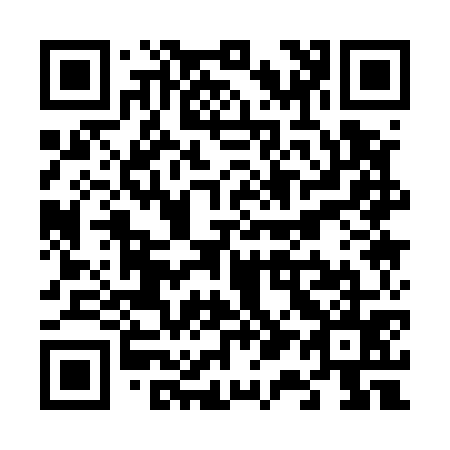 QR code for V11575