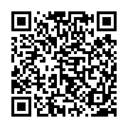 QR code for V11613