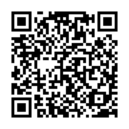 QR code for V12199
