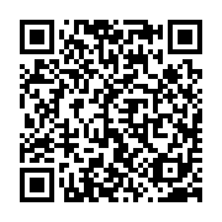 QR code for V12311