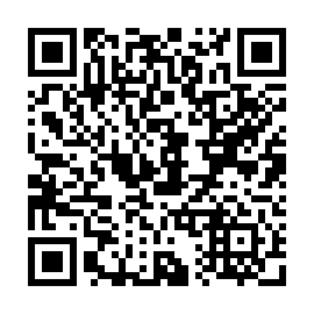 QR code for V12341