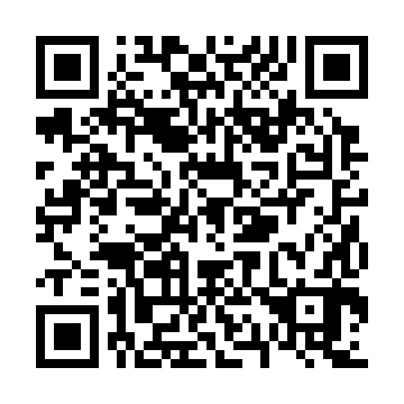 QR code for V12382
