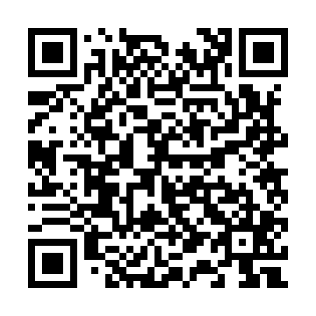 QR code for V12905