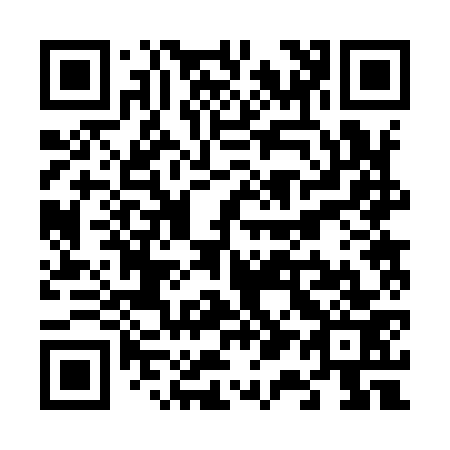 QR code for V12973