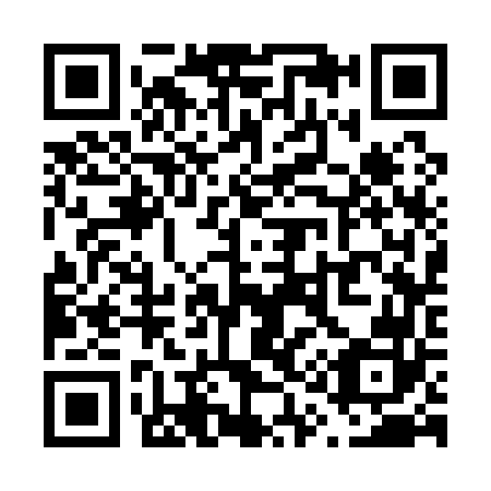 QR code for V13162