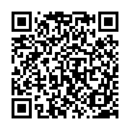 QR code for V13263