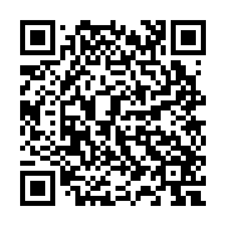QR code for V13346