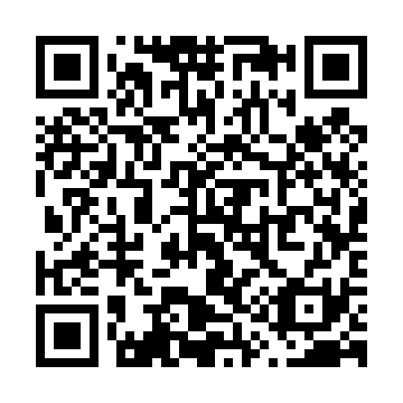 QR code for V13431