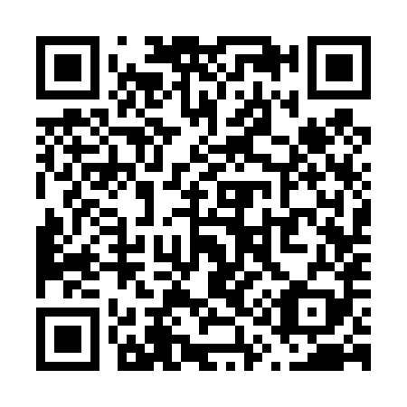 QR code for V13489