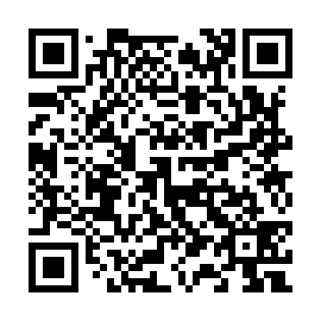 QR code for V13939