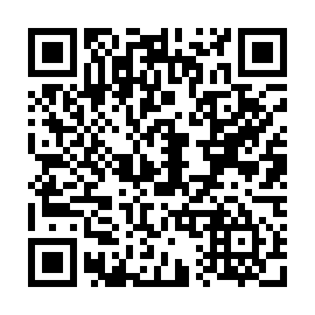 QR code for V16155