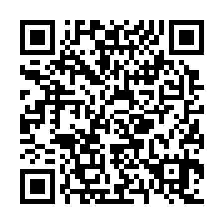 QR code for V16335