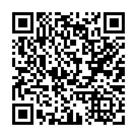 QR code for V16393