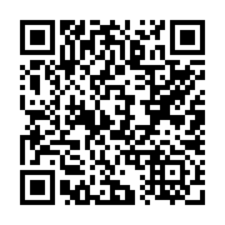 QR code for V17293