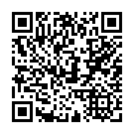 QR code for V17339