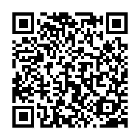 QR code for V17349
