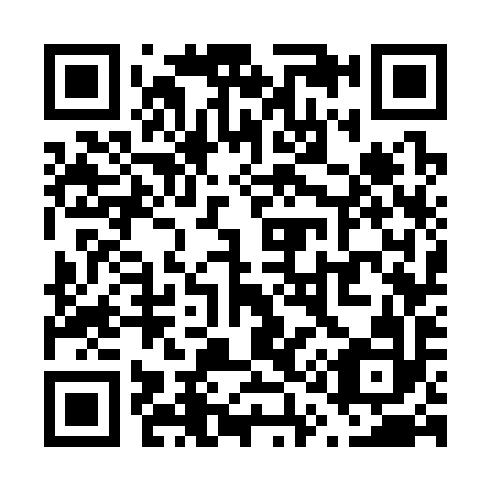 QR code for V17392