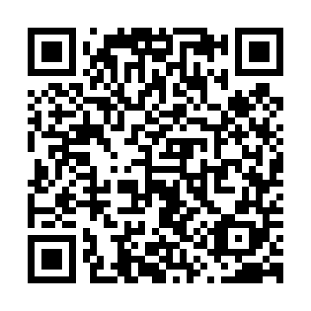 QR code for V17448