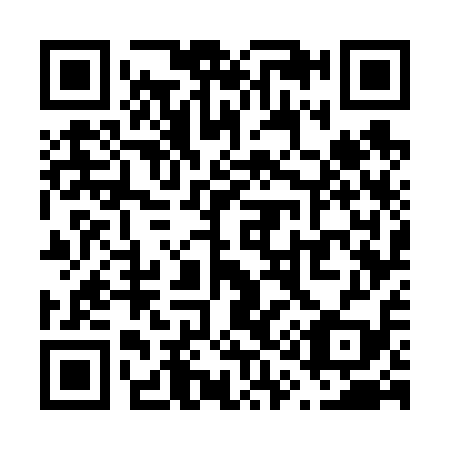 QR code for V17619
