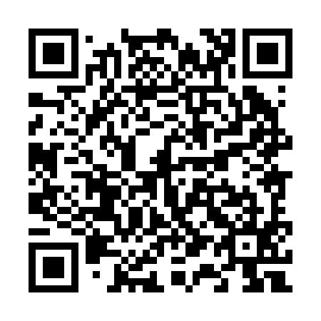 QR code for V18295