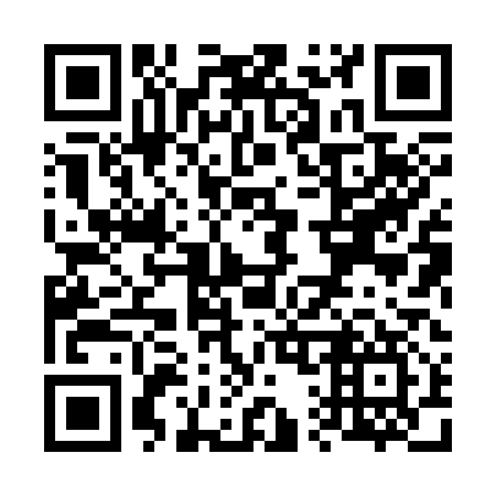QR code for V18317