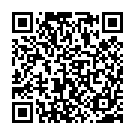 QR code for V19417