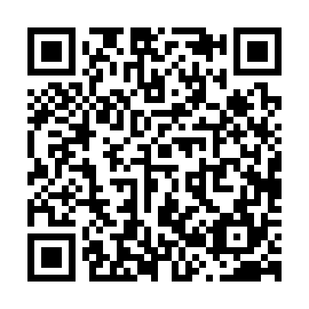 QR code for V20374