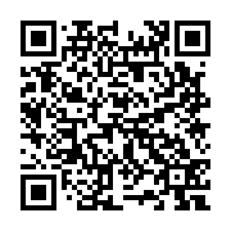 QR code for V21133