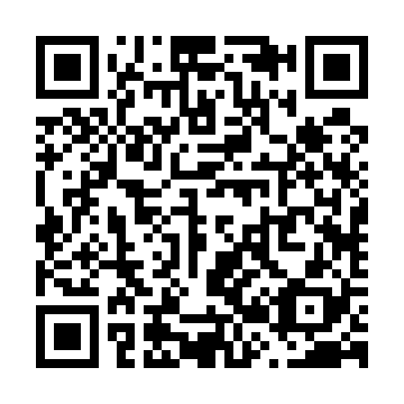 QR code for V22528
