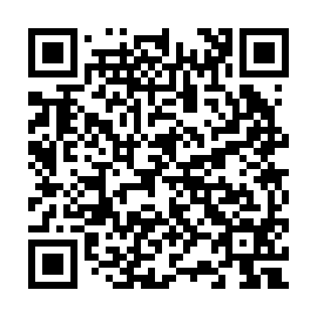 QR code for V23294