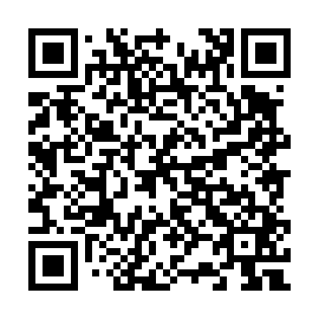 QR code for V28441