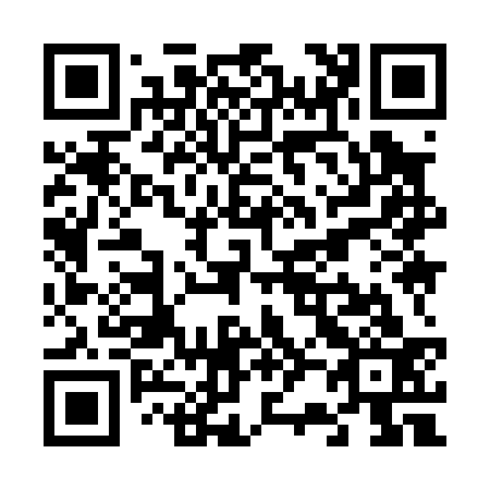 QR code for V29033