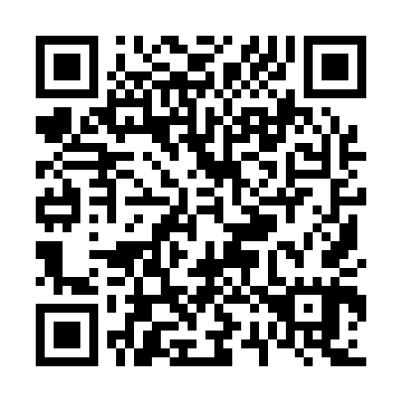 QR code for V29145