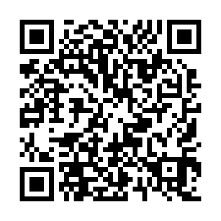 QR code for V29211