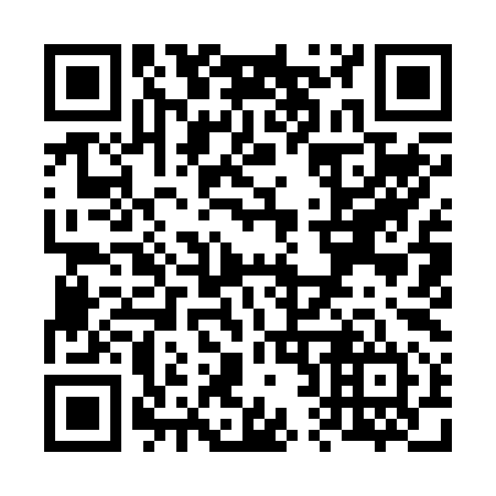 QR code for V29294